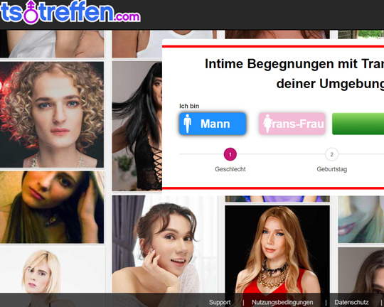 TS-Treffen.com Logo